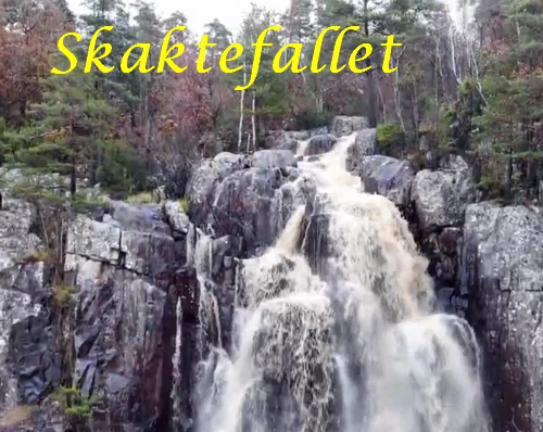 skaktefallet