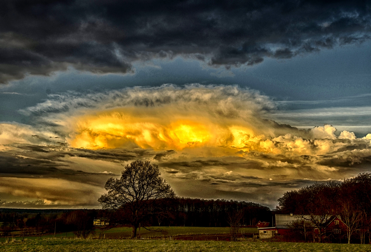 Yellow cloud