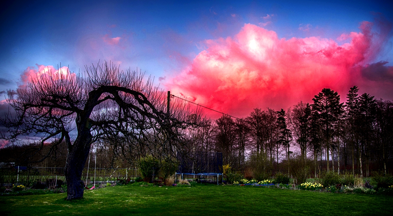 Red cloud