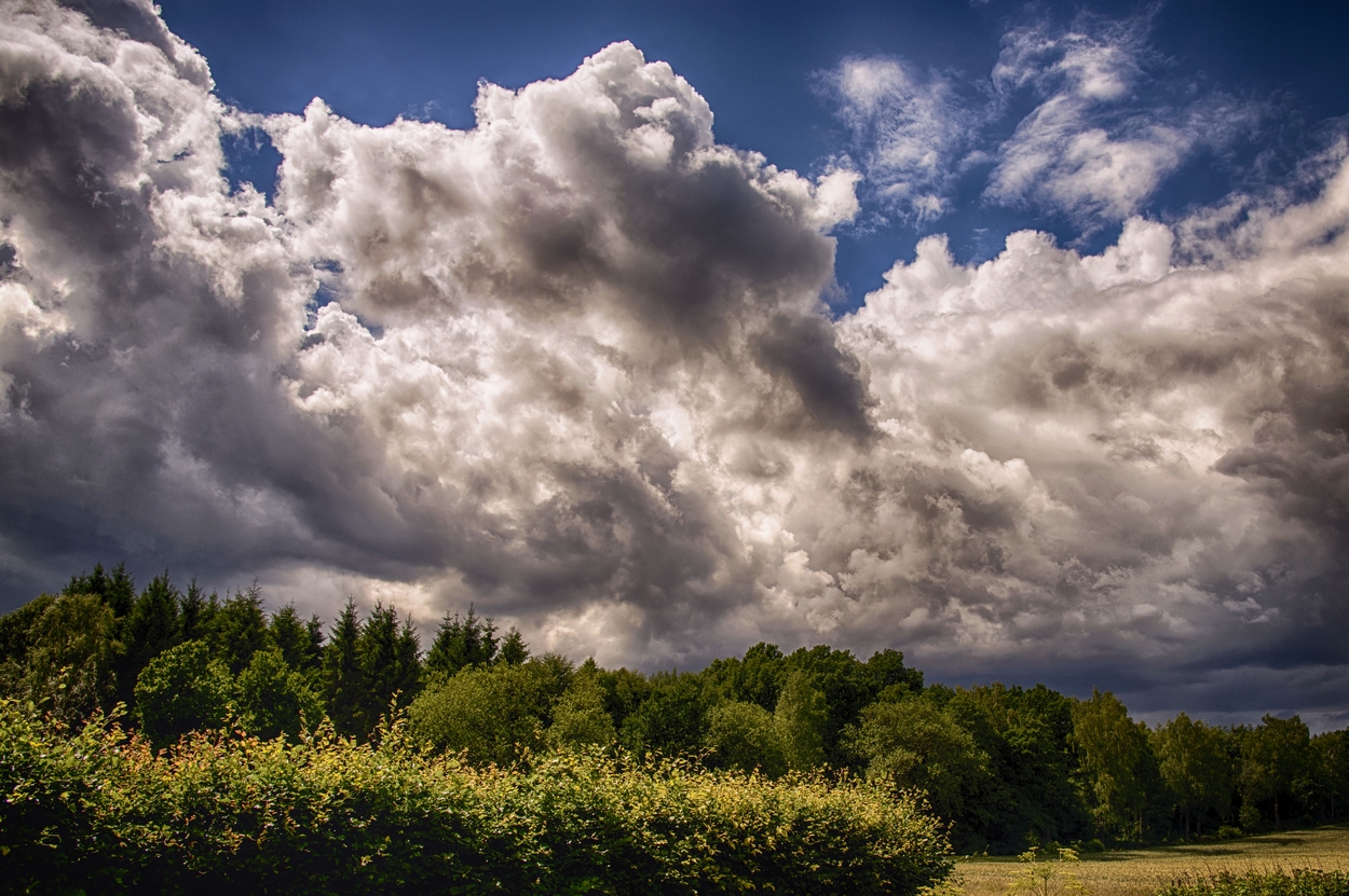 White cloud