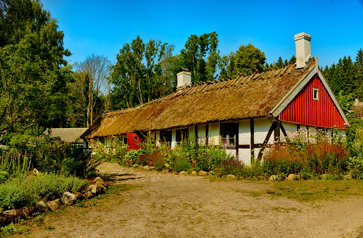 House 4