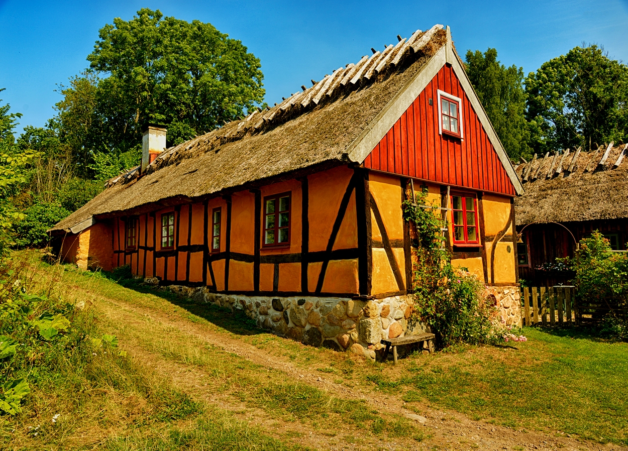 House 5