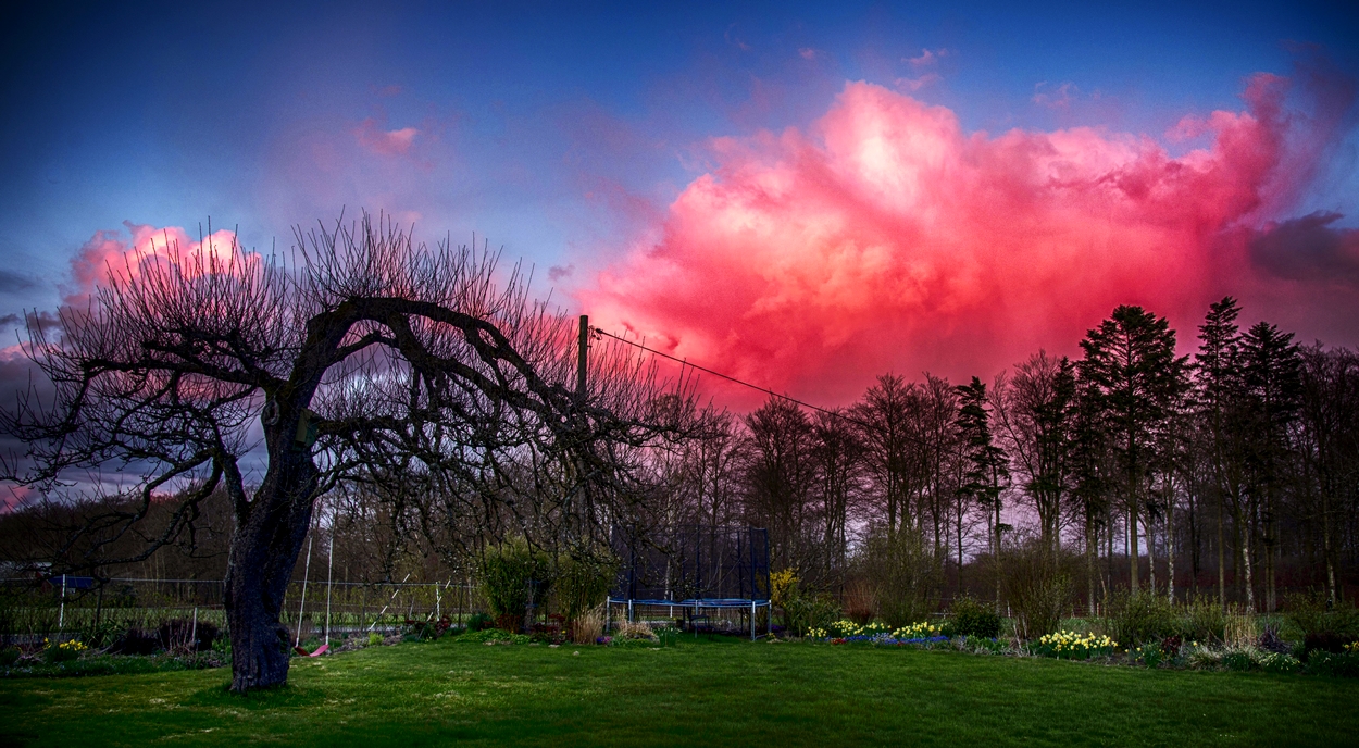 Red Cloud