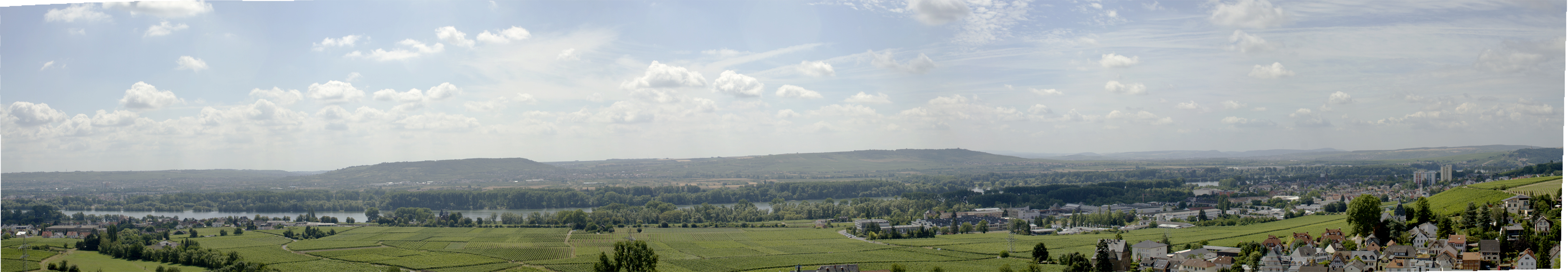 rhin