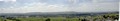 rhin